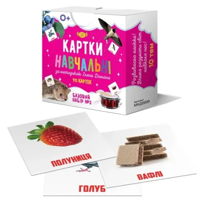 Картки навчальні Глена Домана №2 Майстер рус