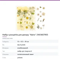 Набір сухоцвітів для декору «Квіти» 21613657955